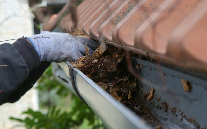 Cleaning a gutter with old wet leaves