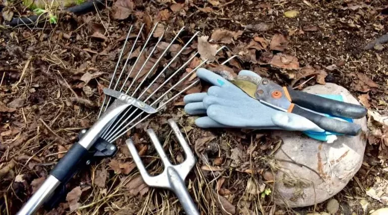 A rake, gloves and plant pruners on the ground