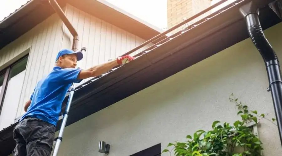 A professional gutter cleaner standing on a ladder doing something