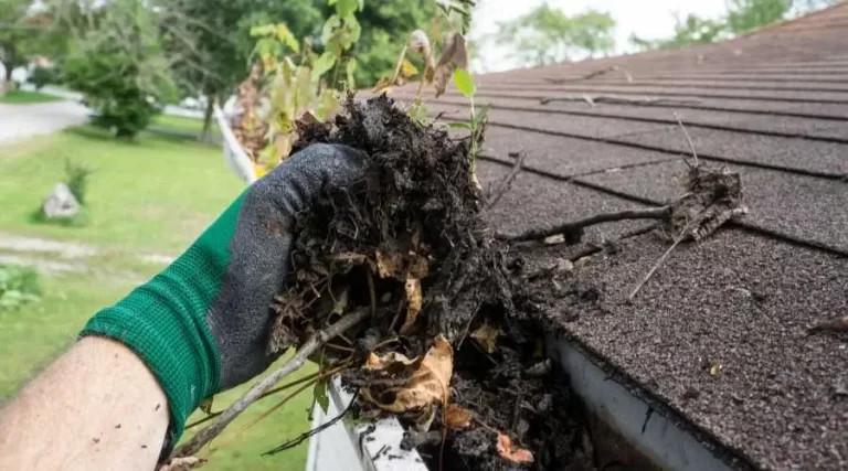 Dirt and sticks in a gutter with someone removing them by hand