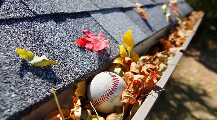 Gutters filled with leaves and a baseball creating a clog