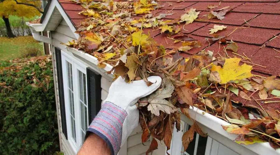 Leaves overflowing out of a gutter and a hand cleaning them