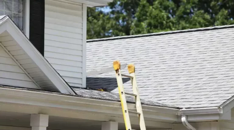 A ladder on the side of a house