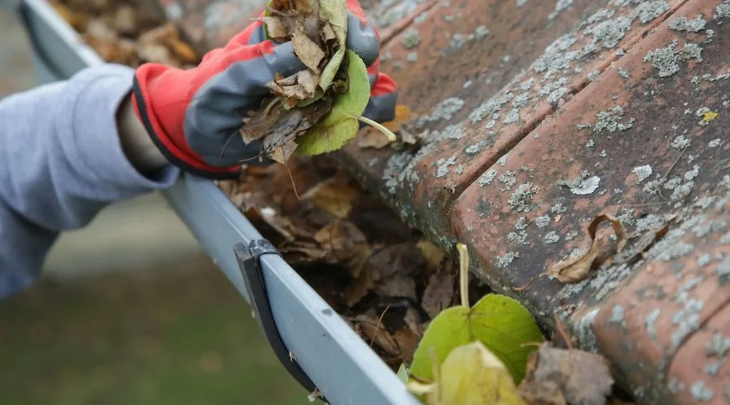 Gutter filled with leaves