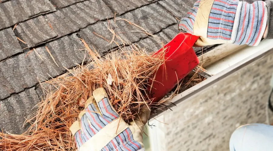 person removing debris from gutter using scooper