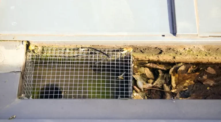 wire fence surrounding gutter drain hole