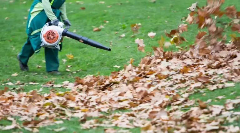 person using blower to clear fallen dry leaves