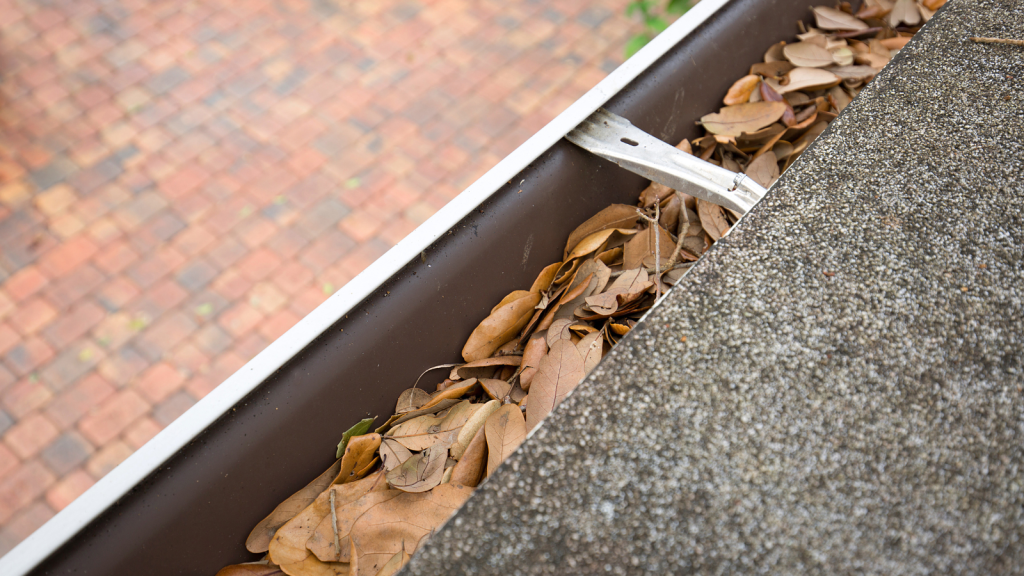 Gutters clogged with old dry leaves