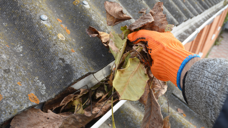 Person with gloved hand removing leaves and sticks from gutter