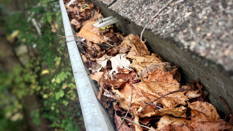 Gutter filled with leaves and debris