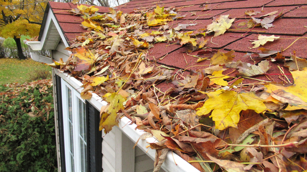 Roof and gutters overflowing with leaves