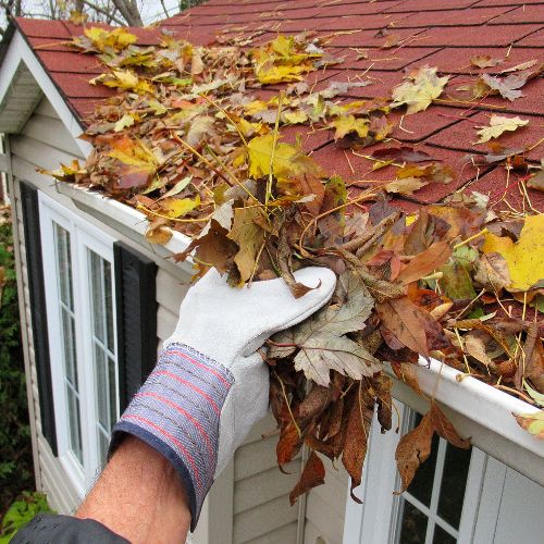 Homeowner performing gutter maintenance
